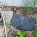 Skunk Bait Wildlife And Pest Control - Edmond - Pest Control Equipment & Supplies
