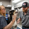 Livewell Animal Hospital of Little Elm gallery