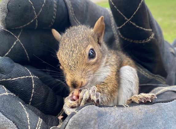 Critter Control of West Texas