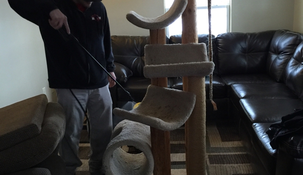 MW Carpet Cleaning Unlimited - Orrville, OH. Getting our carpets, recliner, and even the cat tree post cleaned too!!!������������