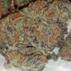Kind Love Dispensary gallery
