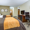 Comfort Inn gallery