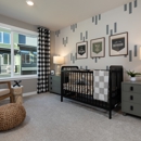 Senderos - Taylor Morrison - Home Builders