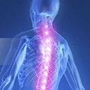 Wells Chiropractic Clinic