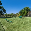Renew Madison - Apartments