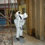 Water and Mold Removal