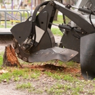 Bauer's Tree & Stump Removal