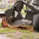 Bauer's Tree & Stump Removal