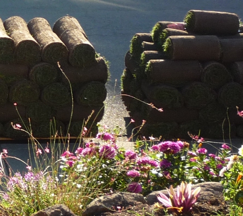 Sod and Seed - Martinez, CA