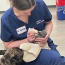 Vetco Total Care Animal Hospital - Veterinarians