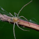 Jarrod's Pest Control - Pest Control Equipment & Supplies