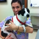 Lake Ray Hubbard Emergency Pet Care Center