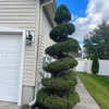 Mission Landscaping & Tree Service gallery