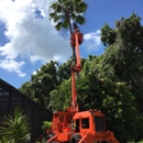 All Florida Tree Care - Tree Service