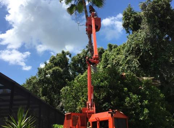 All Florida Tree Care - Sarasota, FL