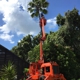 All Florida Tree Care