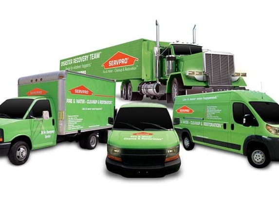 SERVPRO Of Allston, Brighton & Brookline - Boston, MA