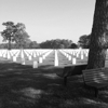 Calverton National Cemetery - U.S. Department of Veterans Affairs gallery