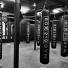Box 219 Gym gallery