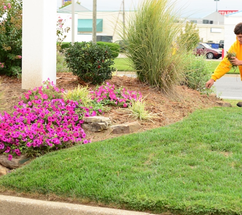 The Grounds Guys of Longmont