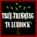 Tree Trimming in Lubbock - Tree Service