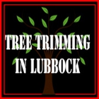 Tree Trimming in Lubbock