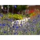 Waterwise Landscapes - Gardeners