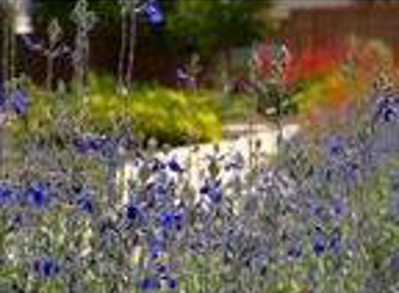 Waterwise Landscapes - Albuquerque, NM