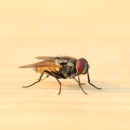 Sure Thing Pest Control - Pest Control Equipment & Supplies