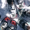 Northern Lites Snowshoes gallery