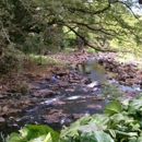 Lili'uokalani Botanical Garden - Botanical Gardens