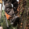 Tree Service Oceanside gallery