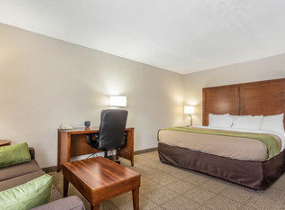 Comfort Suites - Summerville, SC