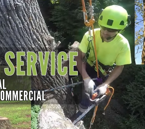 Prime-Scape Services - Clearwater, FL. Tree Service Clearwater