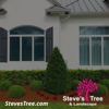 Steve's Tree and Landscape gallery