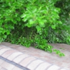 KDG Home Inspections gallery
