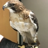 James River Animal Hospital gallery