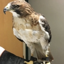 James River Animal Hospital - Pet Services