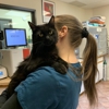 Animal Wellness Ctr gallery