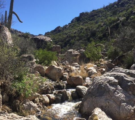 Catalina State Park - Tucson, AZ