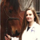 B-Line Equine Veterinary Services