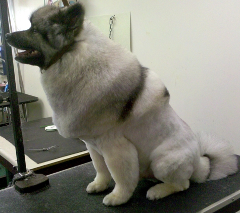 Forte Grooming - Miamisburg, OH