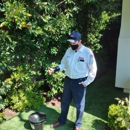 Dewey Pest Control - Pet Services