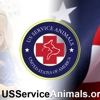 US Service Animals gallery
