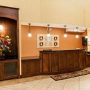 Comfort Suites Hobby Airport - Motels