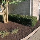 ENS Lawn Care & Landscaping