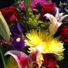 Flower Express gallery