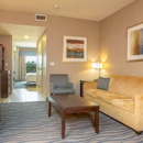 Hilton Garden Inn Fort Worth Alliance Airport - Hotels