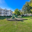Saxony at Chase Oaks Apartments