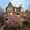 Wilson House Bed & Breakfast - Bed & Breakfast & Inns